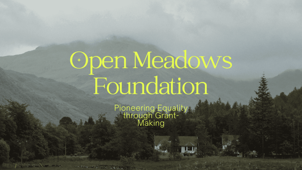 Open Meadows Foundation Pioneering Equality Through GrantMaking NGO Search